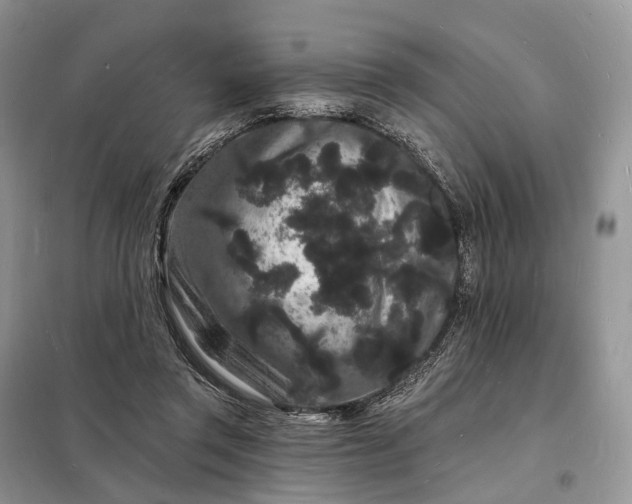 X0000098230357200805081227