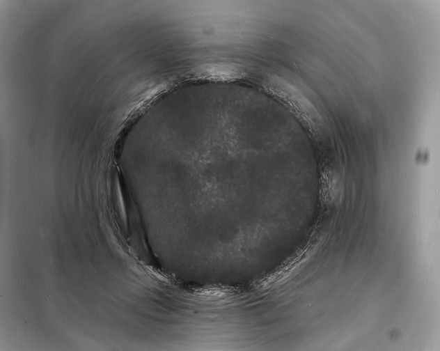 X0000098230358200805081228