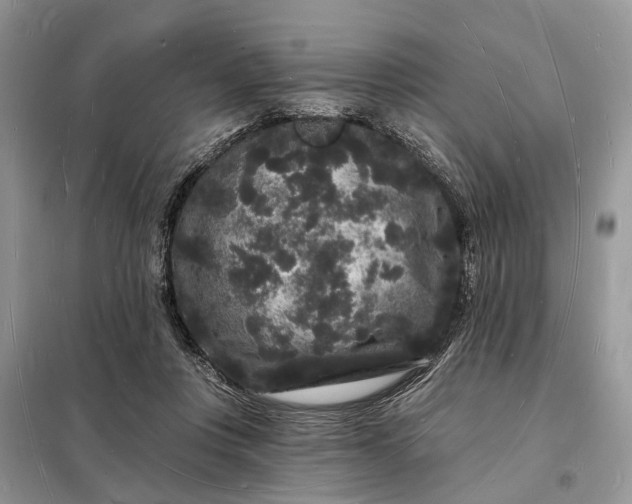 X0000098230359200805081228