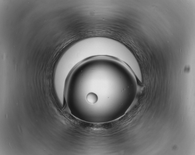 X0000098230360200805081228