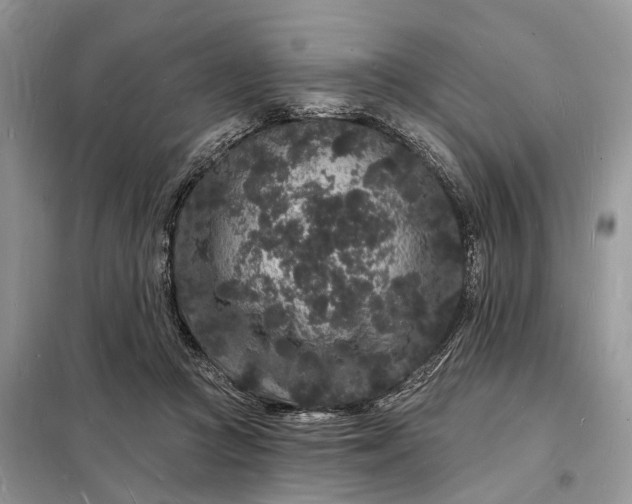 X0000098230361200805081228