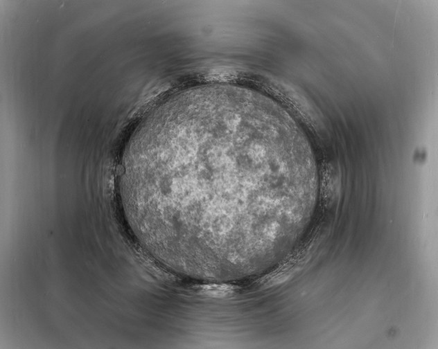 X0000098230363200805081228