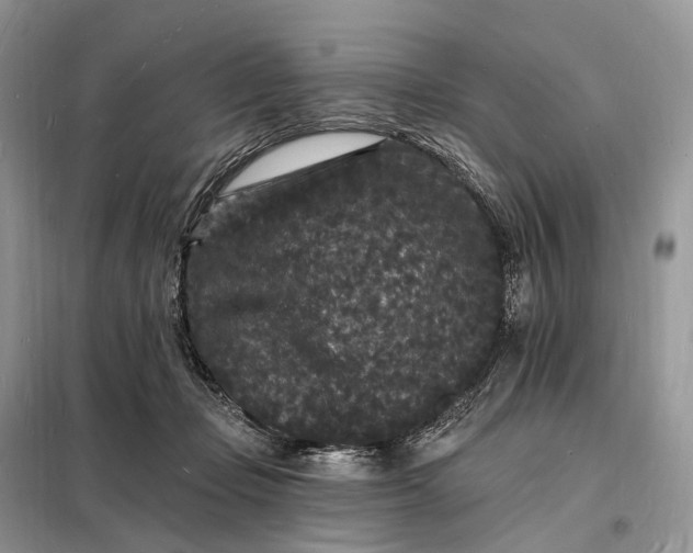 X0000098230365200805081228