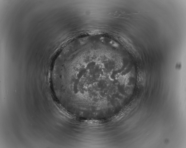 X0000098230367200805081228