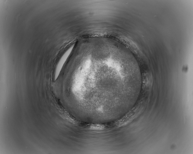 X0000098230369200805081228