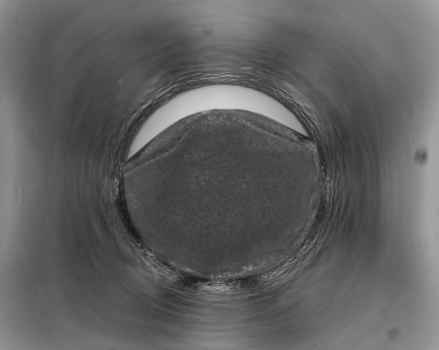 X0000098230370200805081228