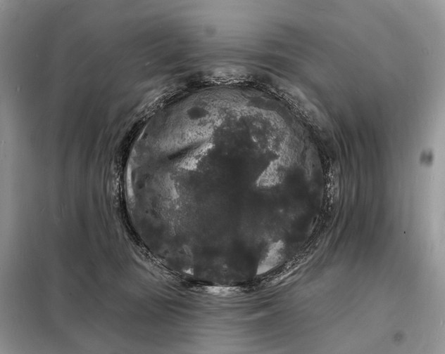 X0000098230371200805081228