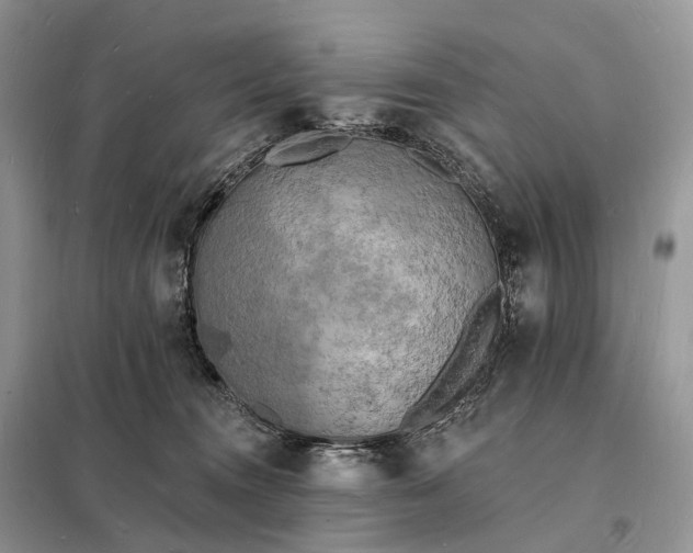 X0000098230372200805081228