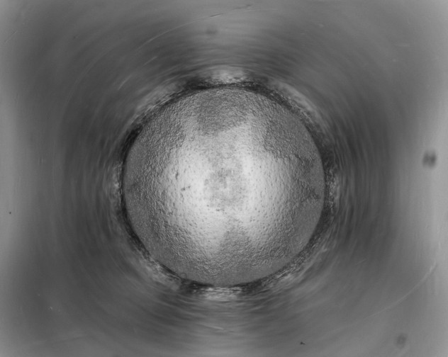 X0000098230373200805081228