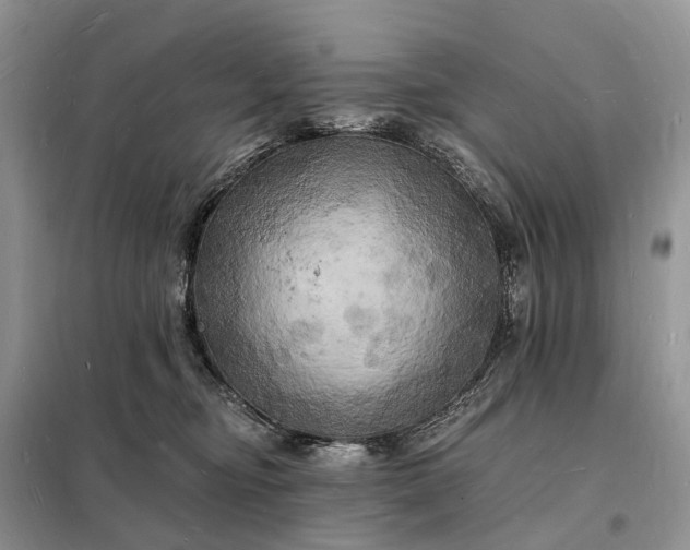 X0000098230374200805081228