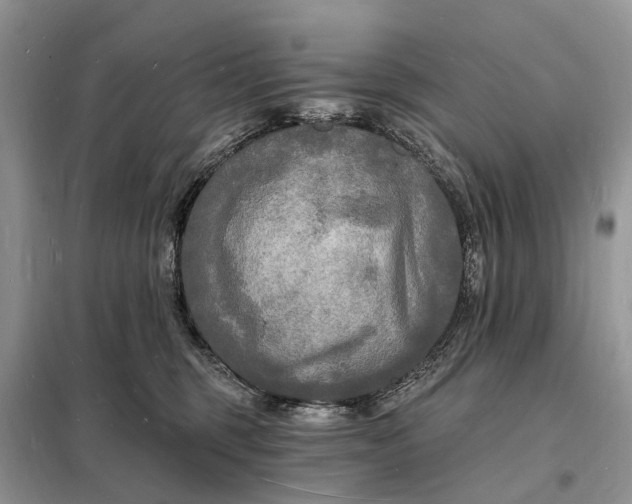 X0000098230375200805081228