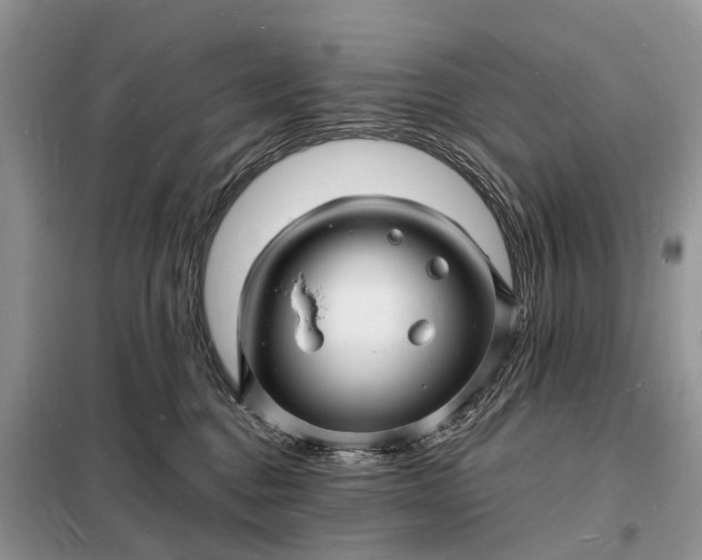 X0000098230376200805081228