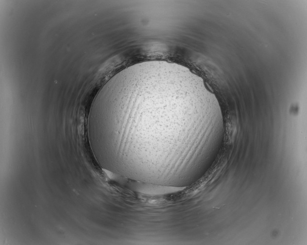 X0000098230379200805081228