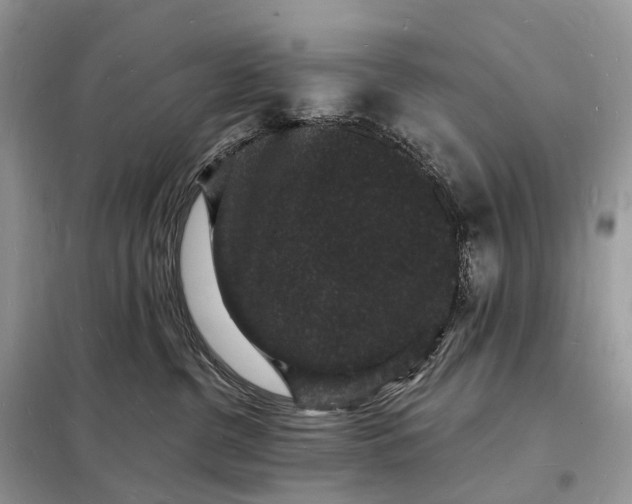 X0000098230380200805081228