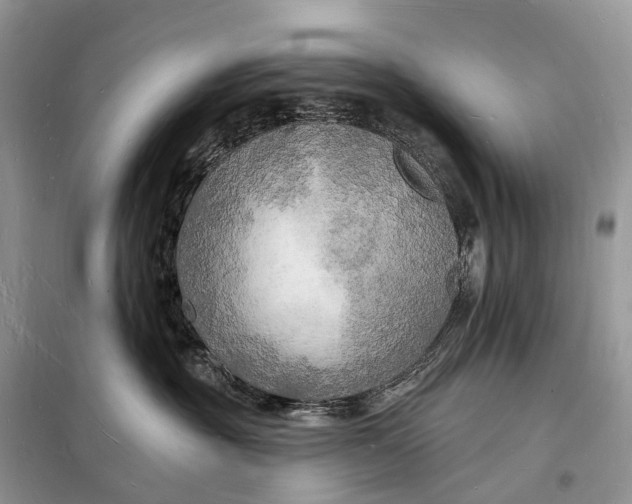 X0000098230381200805081228