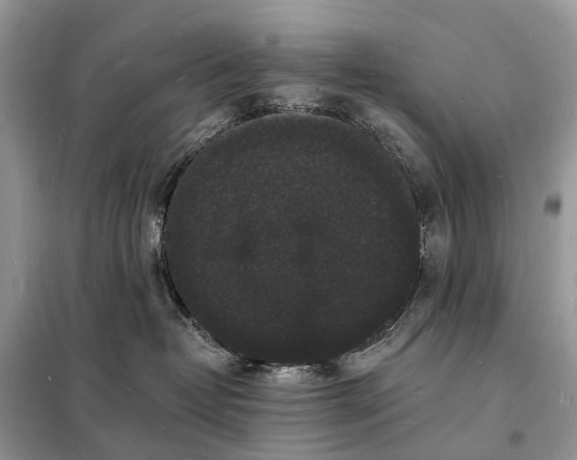 X0000098230382200805081228