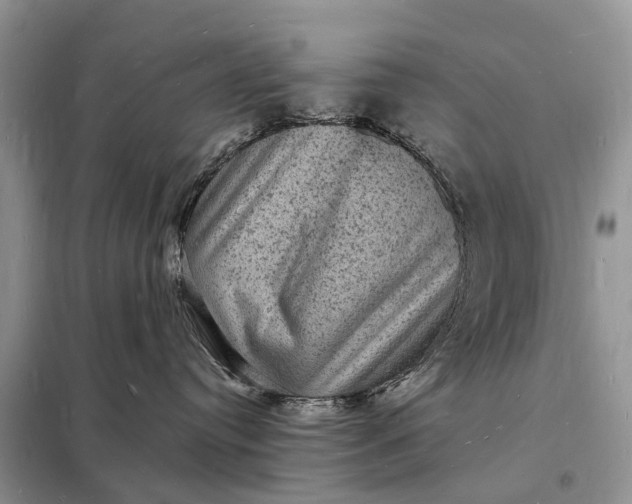 X0000098230384200805081228