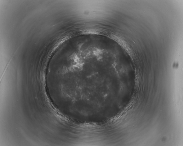 X0000098230386200805081227