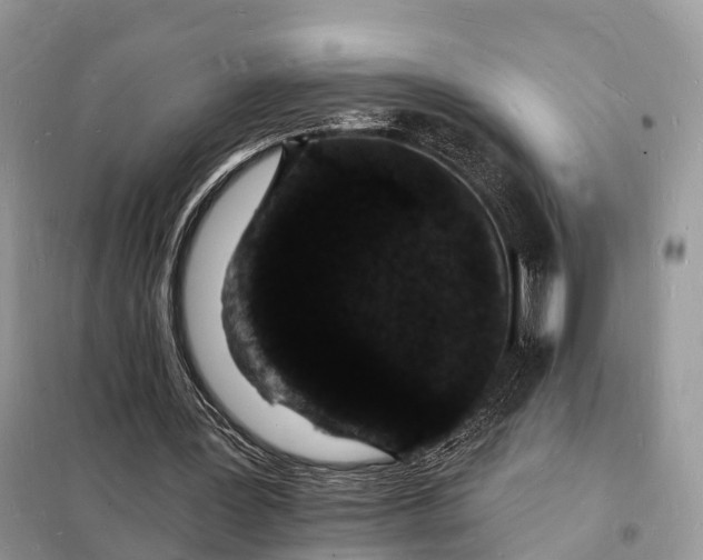 X0000098230387200805081227