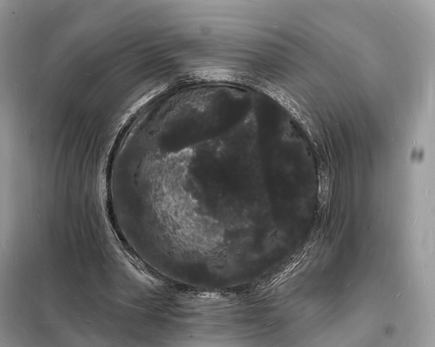 X0000098230390200805081227