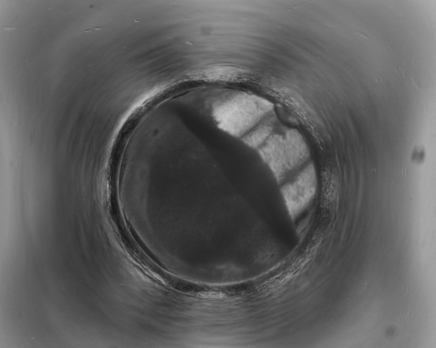 X0000098230392200805081227