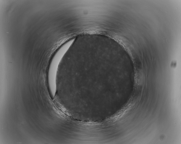 X0000098230393200805081227