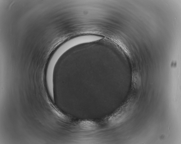 X0000098230397200805081227