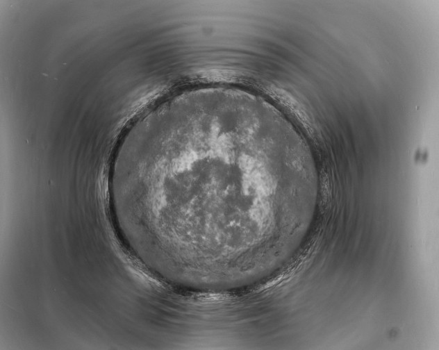 X0000098230398200805081227