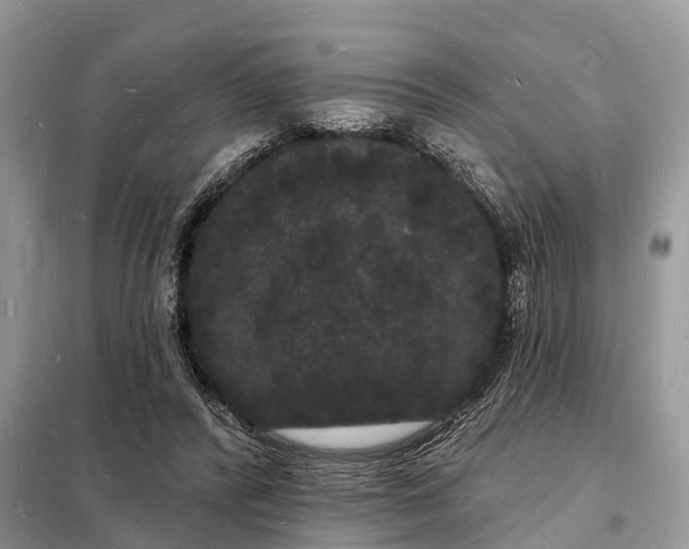 X0000098230400200805081227