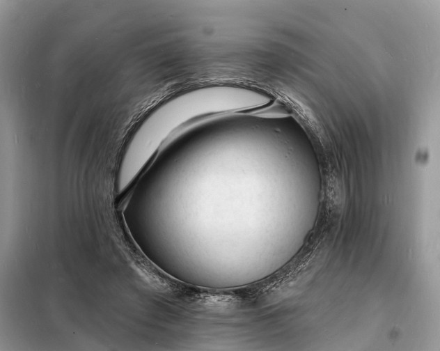 X0000098230401200805081227