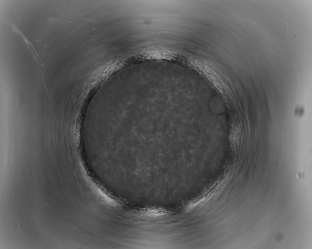 X0000098230402200805081227