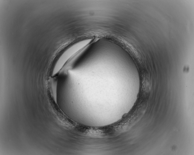 X0000098230403200805081227