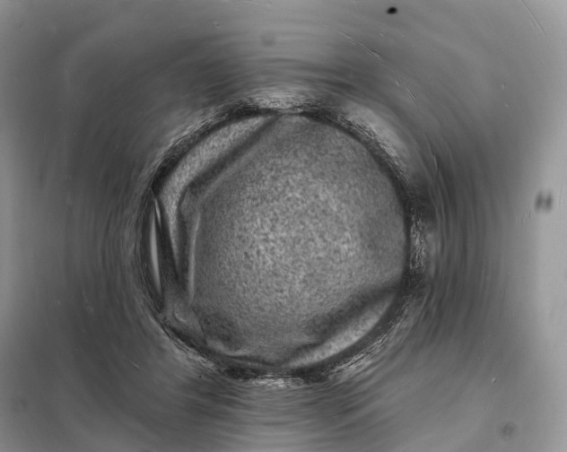 X0000098230404200805081227