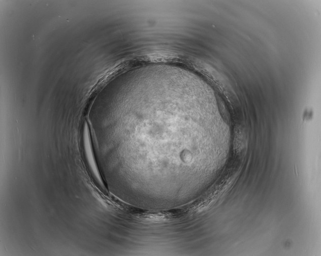 X0000098230405200805081227