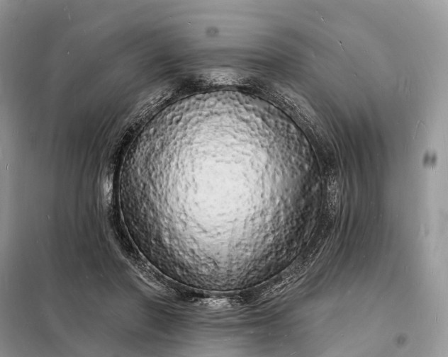 X0000098230406200805081227