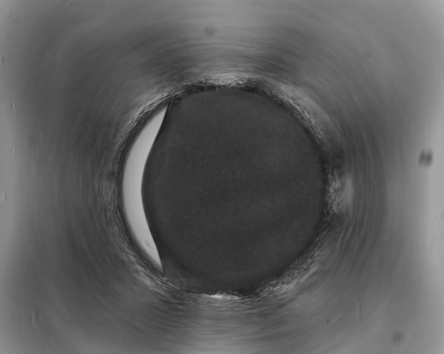 X0000098230407200805081227