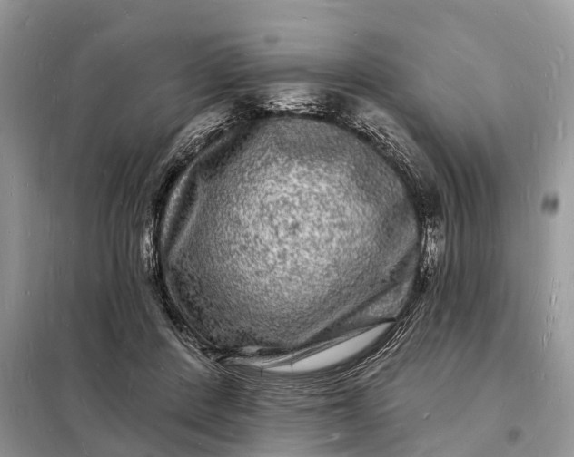 X0000098230408200805081227