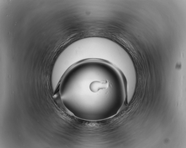 X0000098230409200805081227