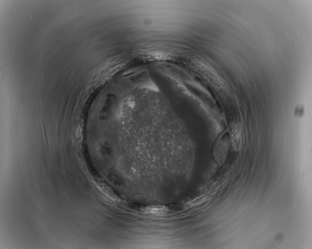 X0000098230410200805081227