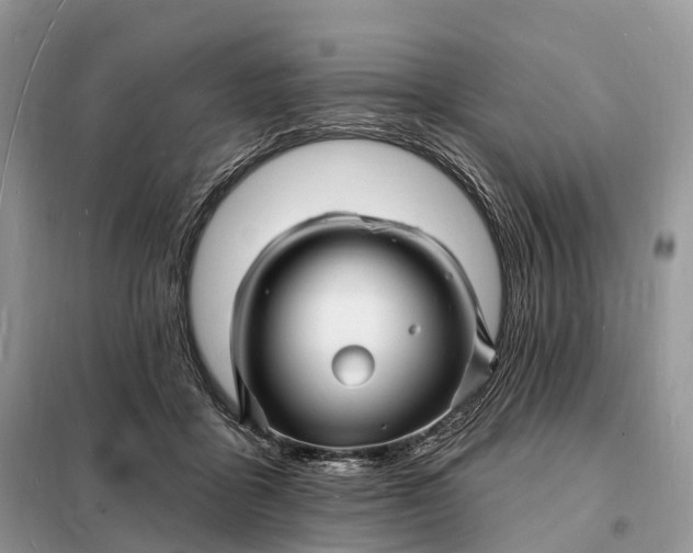 X0000098230411200805081226