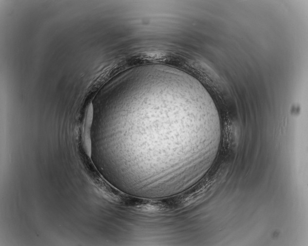 X0000098230412200805081226