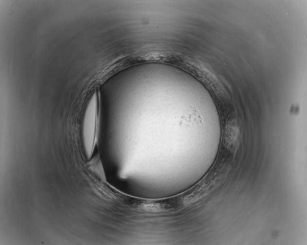 X0000098230413200805081226