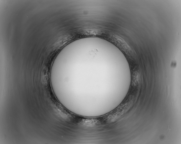 X0000098230414200805081226