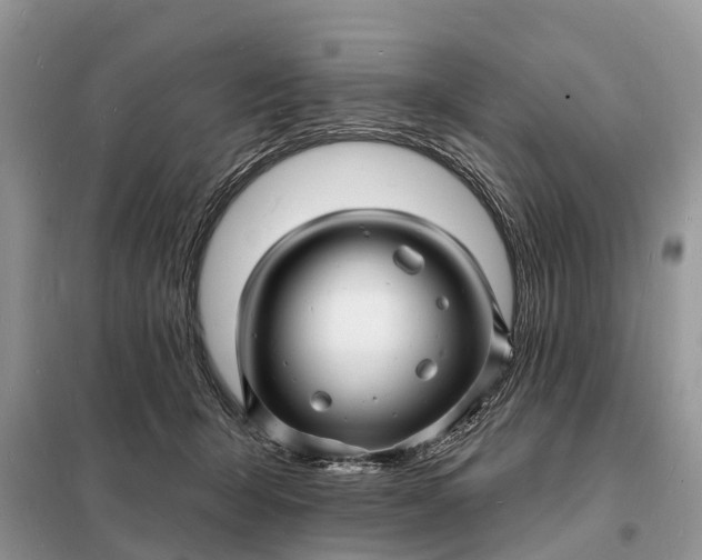 X0000098230415200805081226