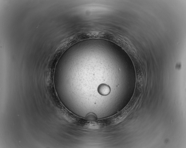 X0000098230416200805081226