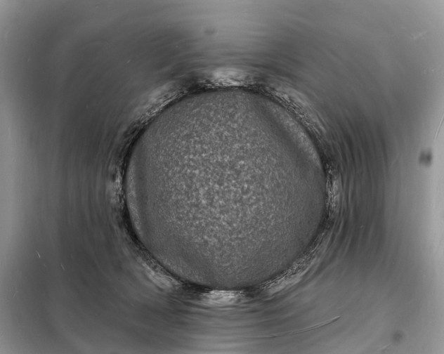 X0000098230418200805081226