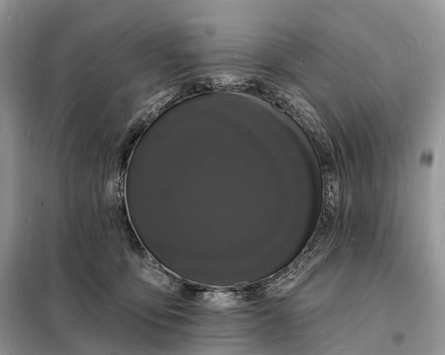 X0000098230419200805081226