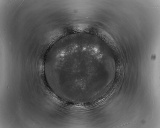 X0000098230420200805081226