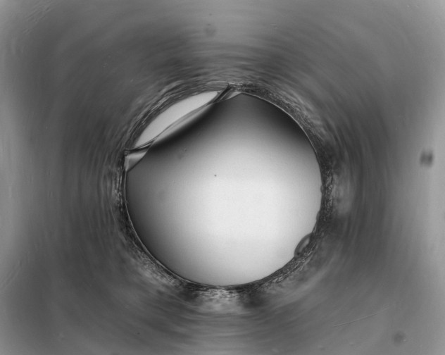 X0000098230421200805081226