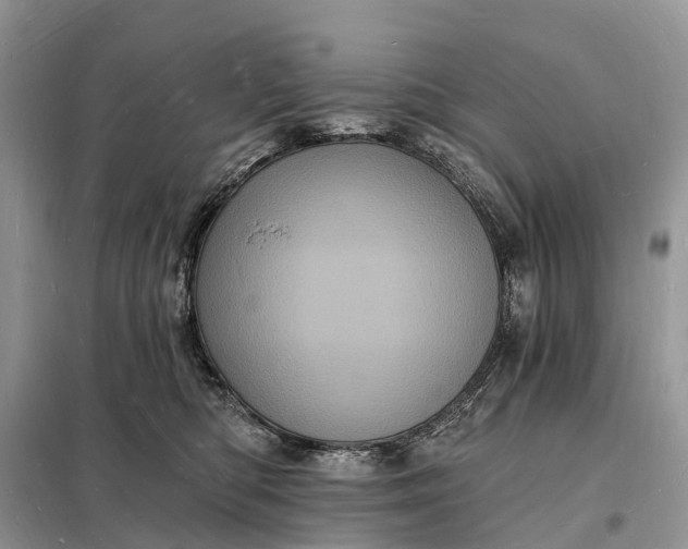 X0000098230422200805081226